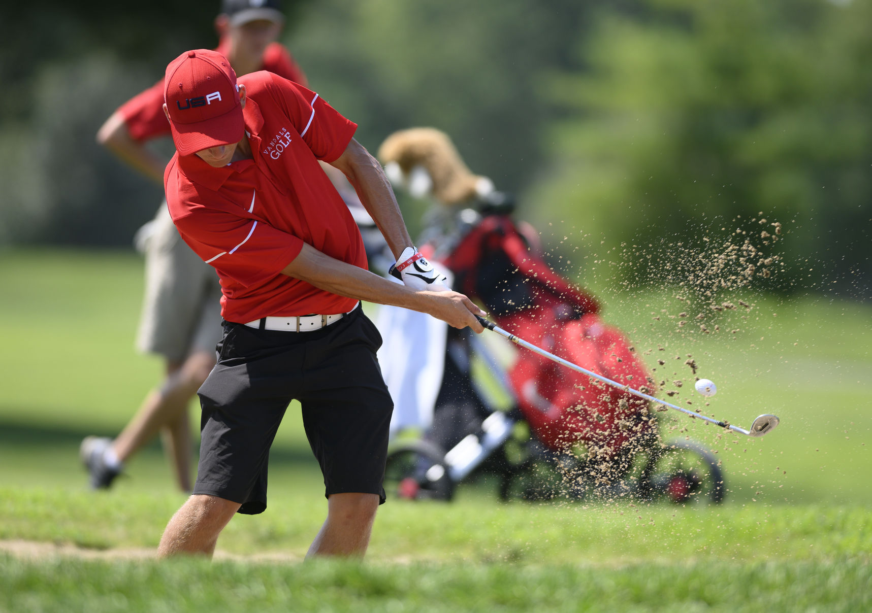 Hickory Stick Classic